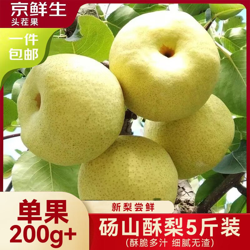 【自营】京鲜生 安徽砀山酥梨拍下17.9元得【5斤】单果200g+