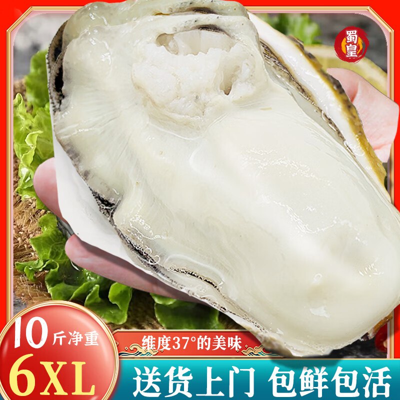 自营蜀皇 乳山生蚝 净重10斤蚝王(10-18只)