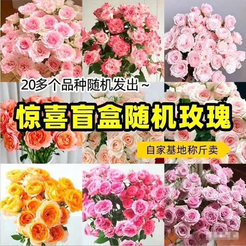 与花同行 随机单头玫瑰 10枝