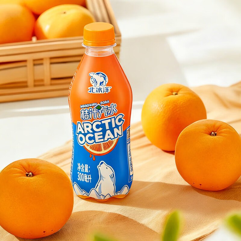 北冰洋 桔汁汽水300ml*12瓶