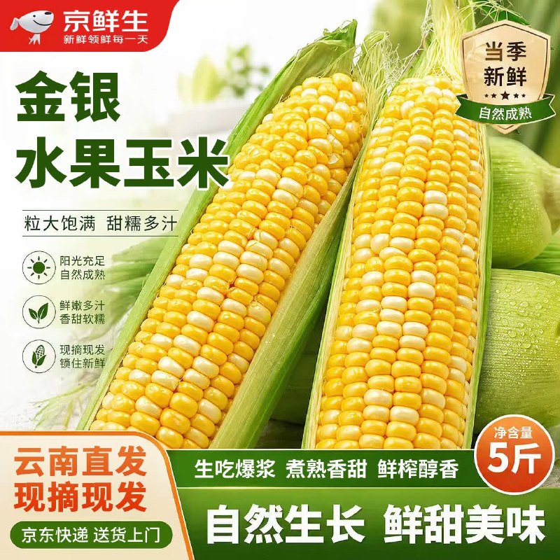 自营京鲜生 云南金银水果甜玉米 5斤