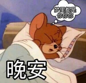 今天就到这里 早点休息晚安 宝子们，好梦~🌙