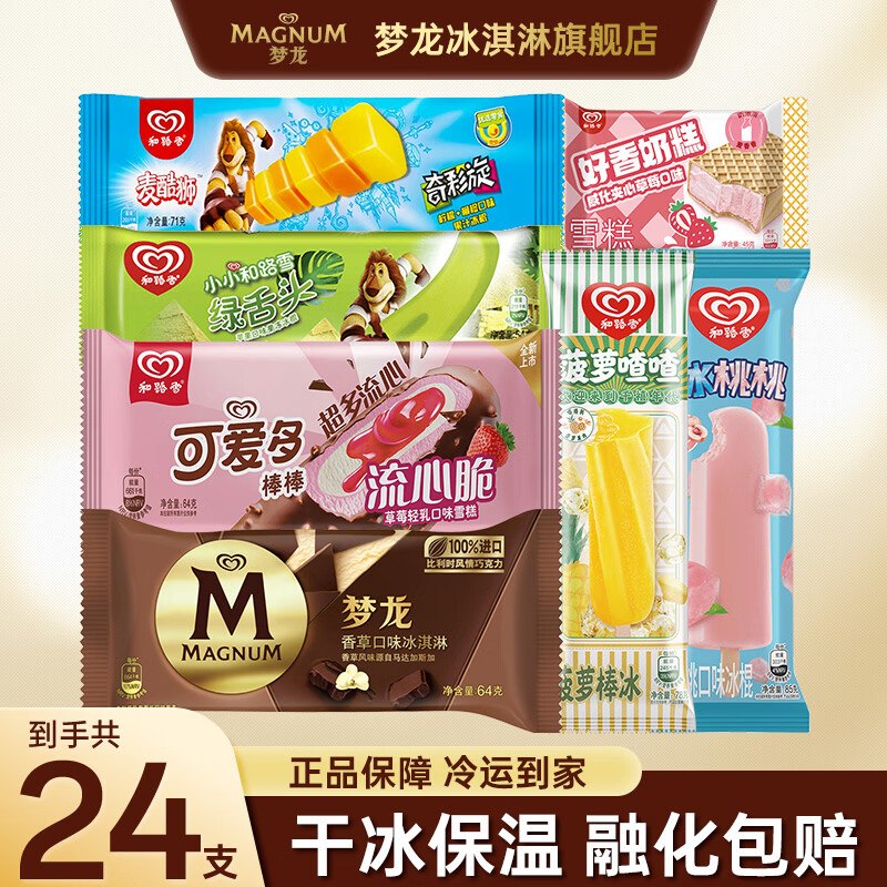 和路雪 梦龙雪糕组合24支